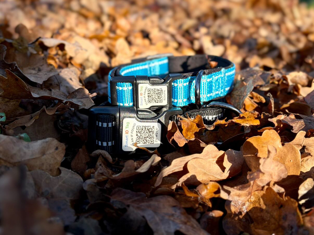 Tag Tails ID Collar