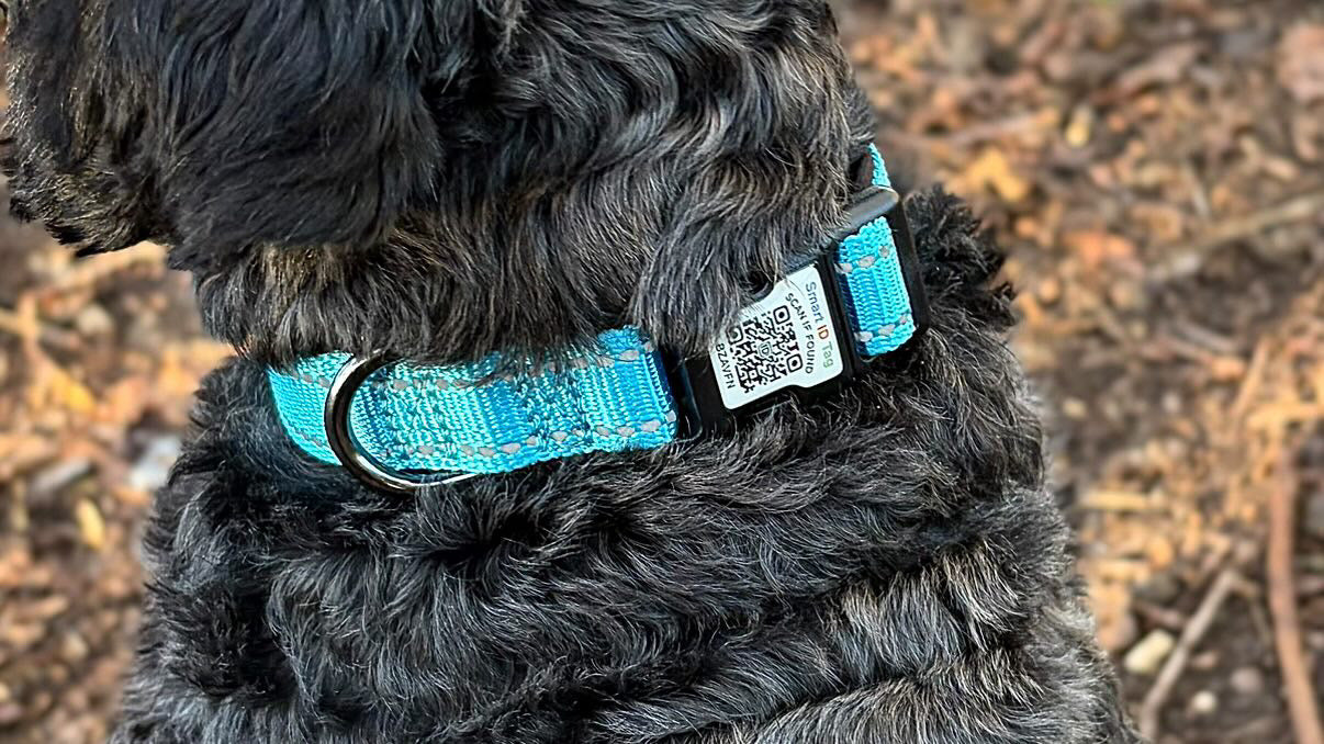 Tag Tails ID Collar