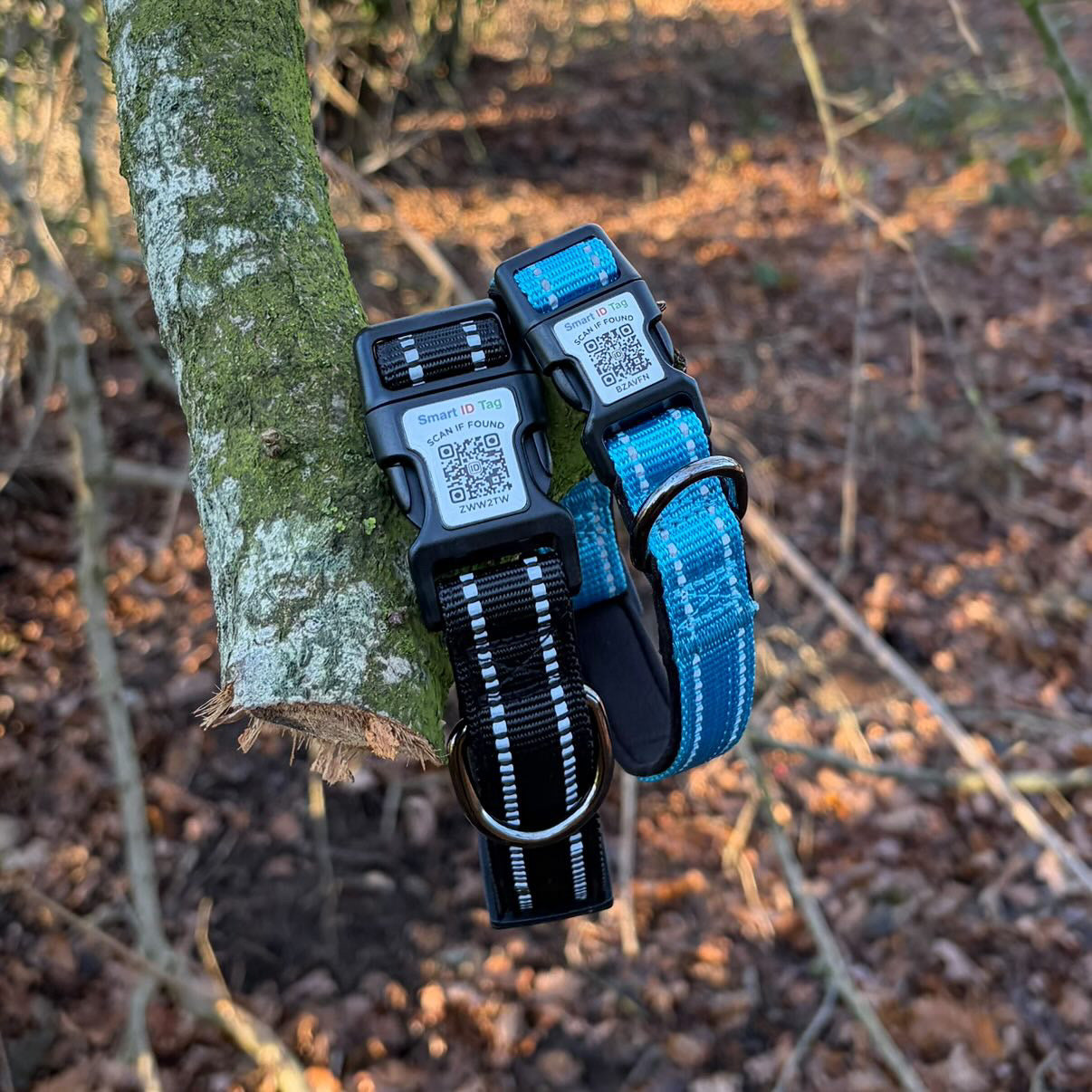 Tag Tails ID Collar