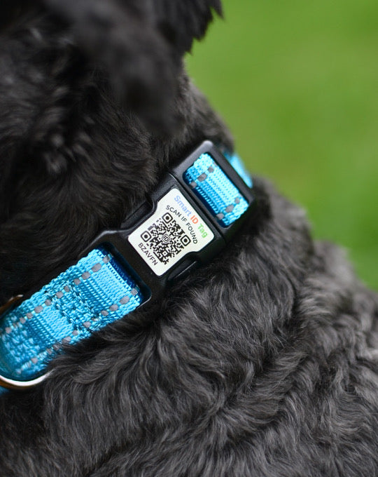 Tag Tails ID Collar